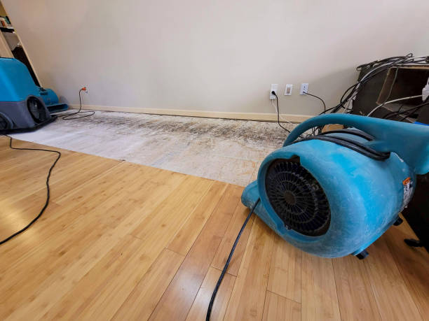 Professional Flood Damage Cleanup technician working in Grays River, WA